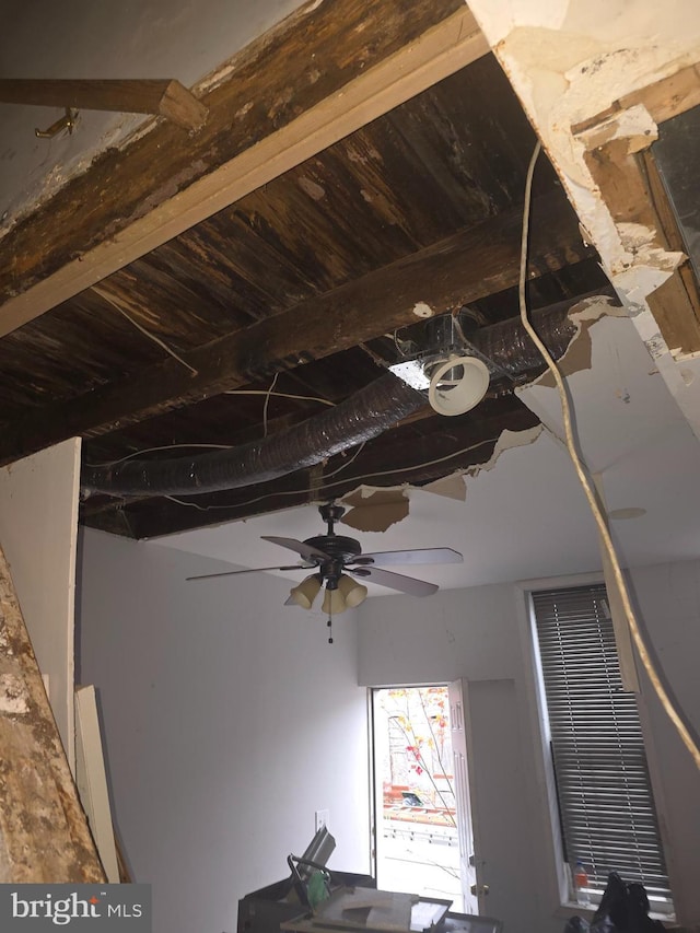 details featuring ceiling fan