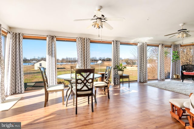 sunroom featuring ceiling fan