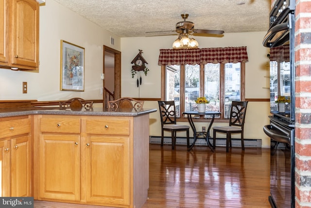 kitchen featuring ceiling fan, dark hardwood / wood-style flooring, a baseboard radiator, and a textured ceiling