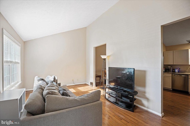 living room with wood-type flooring and high vaulted ceiling