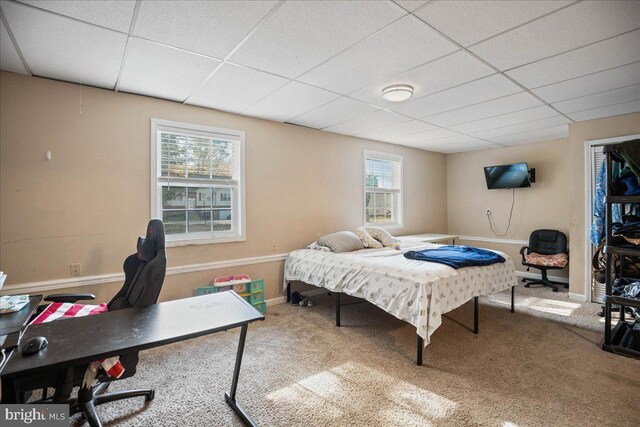 bedroom featuring a paneled ceiling and carpet