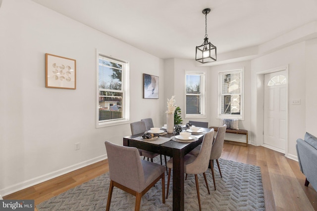 dining room featuring hardwood / wood-style floors