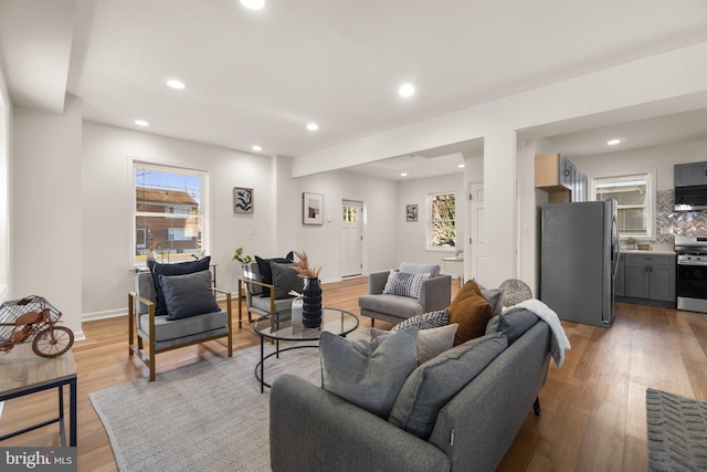 living room with light hardwood / wood-style flooring