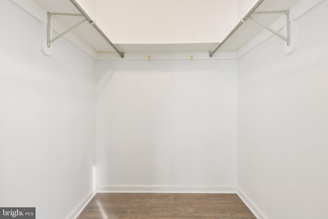 walk in closet featuring dark wood-type flooring