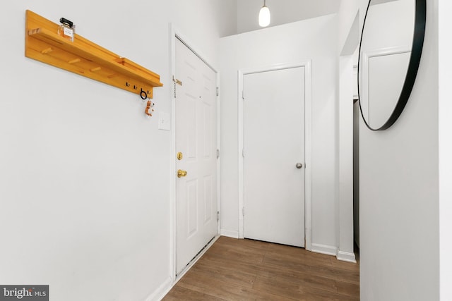 doorway to outside featuring dark hardwood / wood-style floors