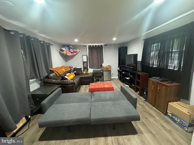 living room featuring light hardwood / wood-style flooring