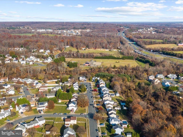 bird's eye view