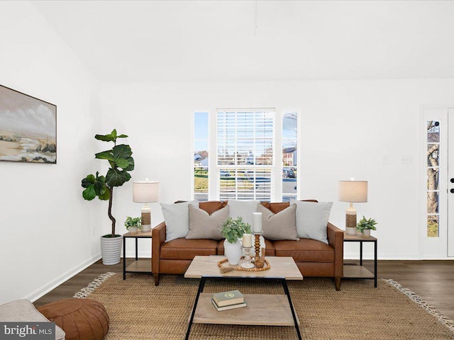 living room featuring dark wood-type flooring