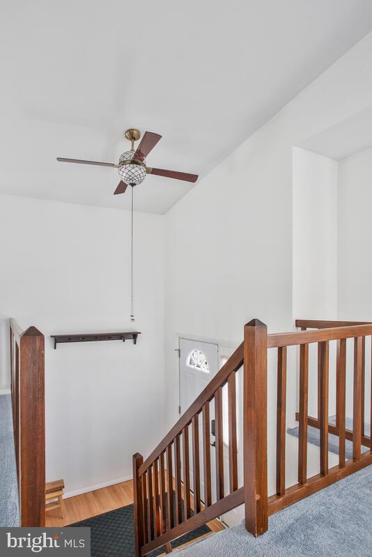 staircase with carpet and ceiling fan