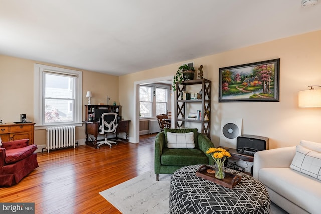 living room with radiator, plenty of natural light, and hardwood / wood-style floors