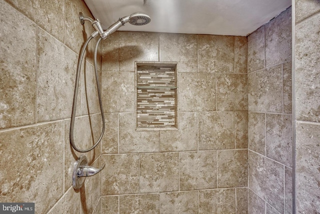 room details with tiled shower