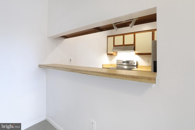 kitchen featuring carpet and stainless steel range with electric cooktop