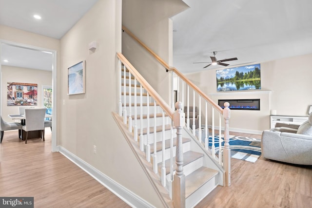 stairs featuring ceiling fan and wood-type flooring