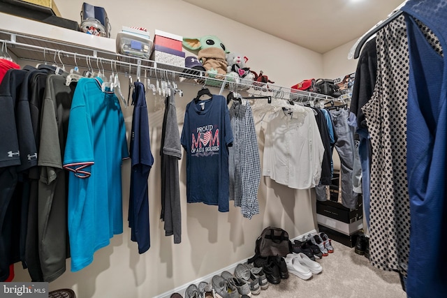 spacious closet featuring carpet floors