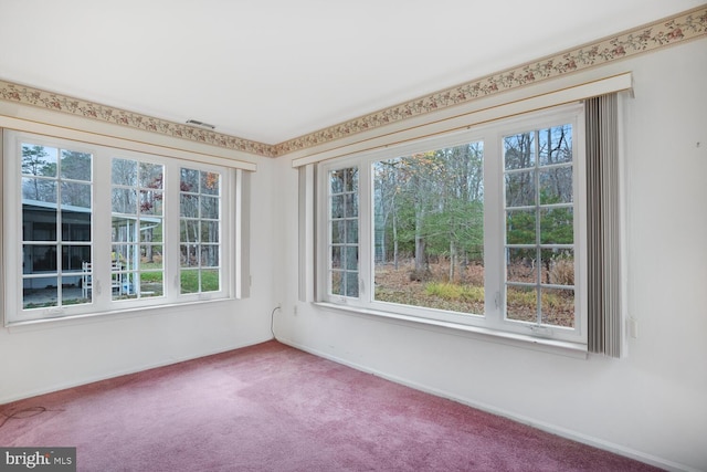 spare room with carpet floors