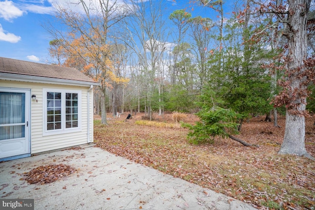 view of yard with a patio area