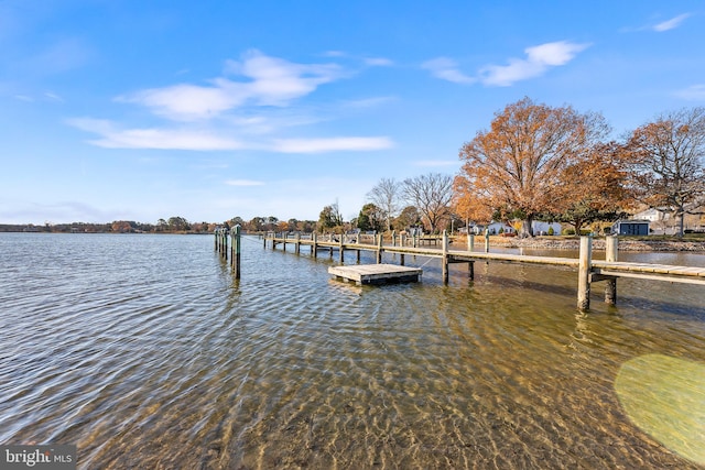 dock area with a water view