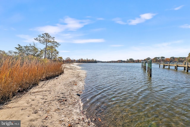 water view featuring a dock