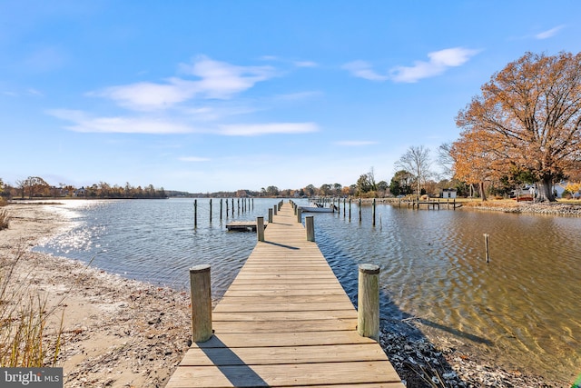 dock area featuring a water view