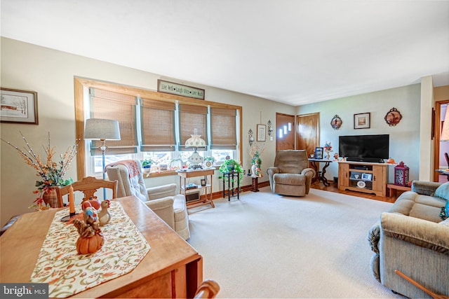 living room featuring carpet