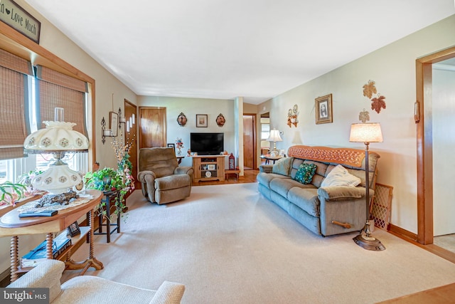 living room featuring carpet