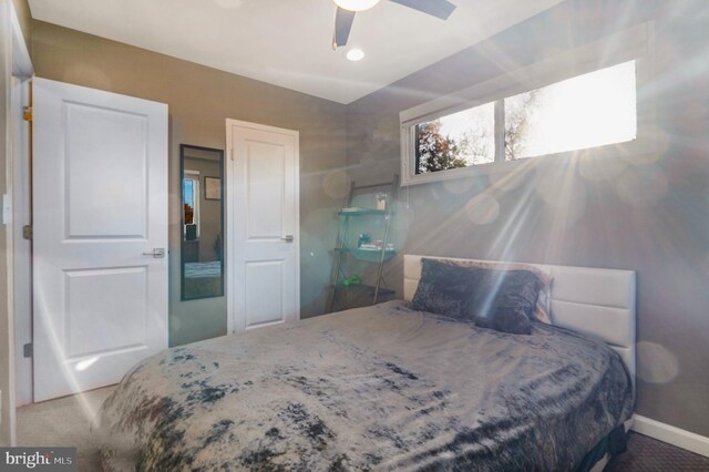 bedroom featuring ceiling fan and carpet floors