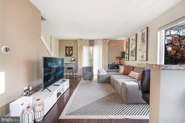 living room with dark hardwood / wood-style flooring