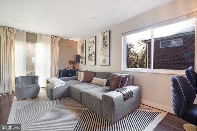 living room featuring wood-type flooring