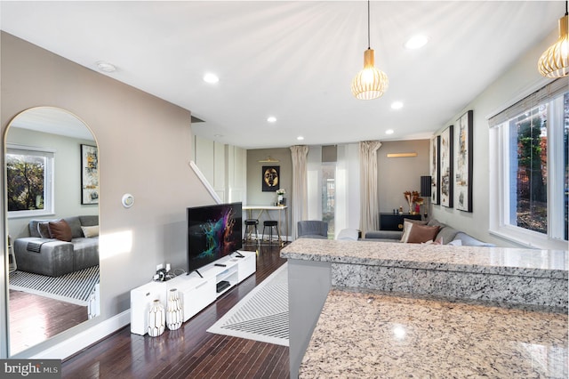 living room featuring dark wood-type flooring