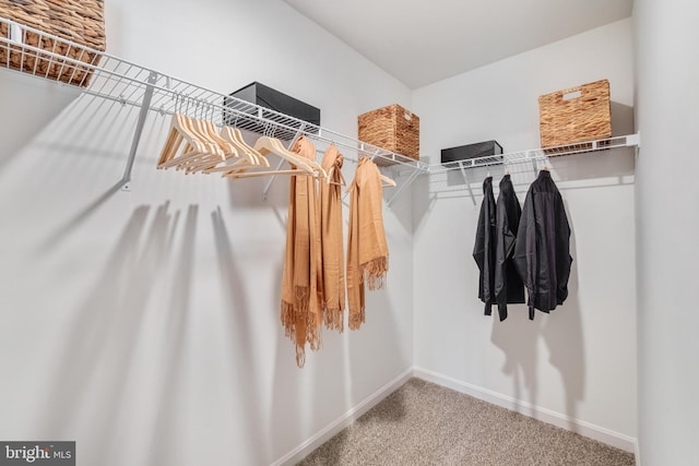 walk in closet with carpet flooring