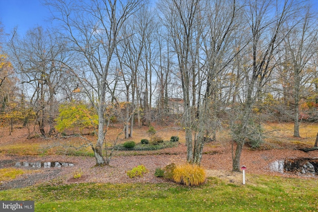 view of yard with a water view