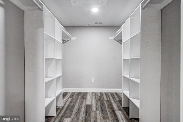 spacious closet with dark hardwood / wood-style flooring