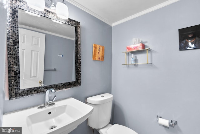 8111 Bird Ln, Greenbelt, MD 20770 - bathroom featuring a sink and ornamental molding