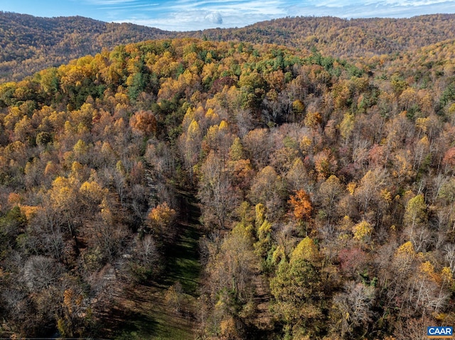 2940 Brokenback Mountain Rd, Dyke VA, 22935 land for sale