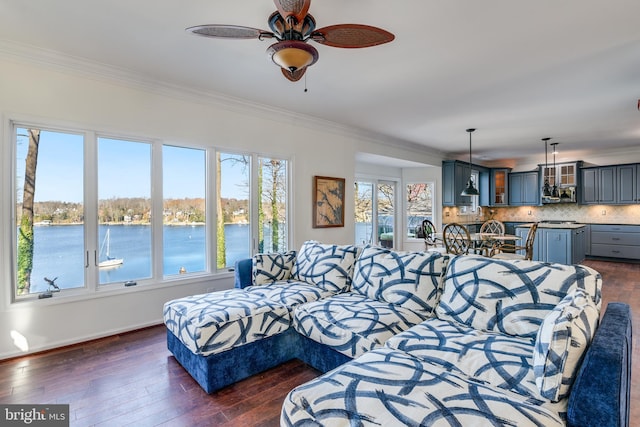 living room with a water view, a healthy amount of sunlight, and dark hardwood / wood-style floors