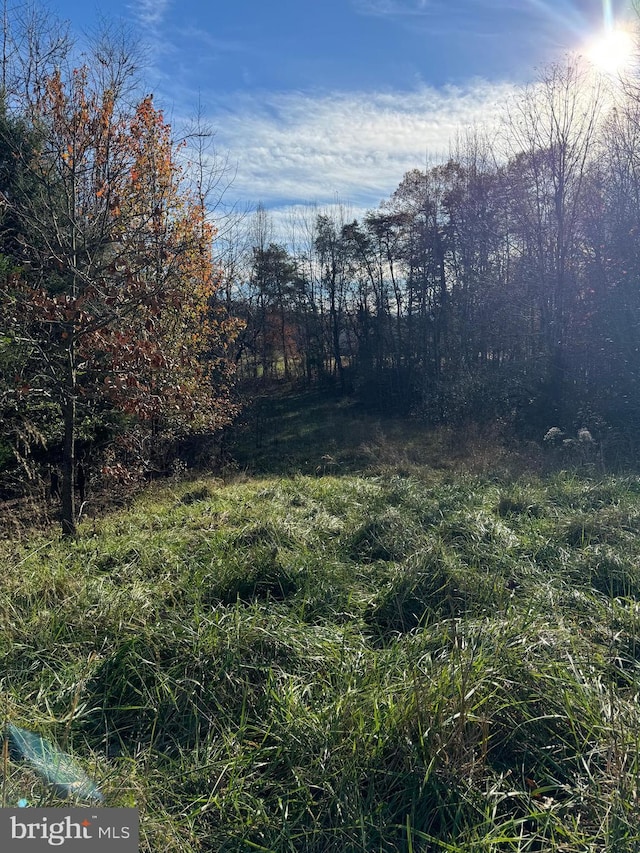 14423 Long Branch Rd, Woodford, VA 22580 - view of yard