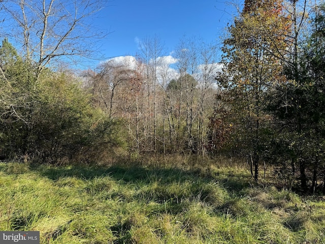 14423 Long Branch Rd, Woodford, VA 22580 - view of undeveloped land