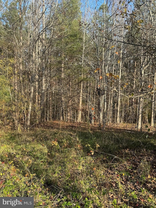 14423 Long Branch Rd, Woodford, VA 22580 - view of woods