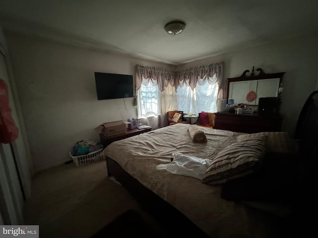 bedroom with carpet floors