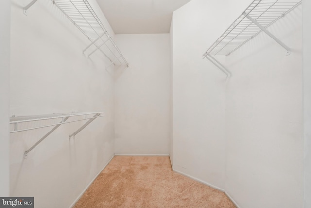 walk in closet with light colored carpet