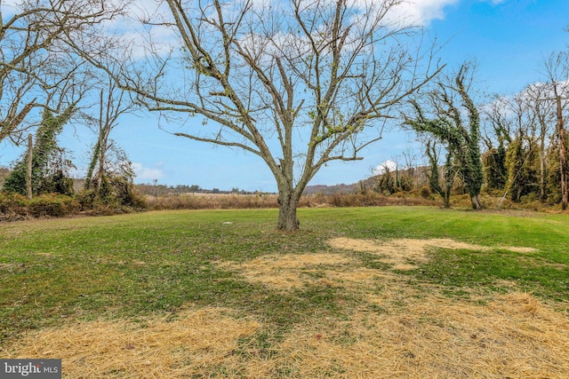 view of yard with a rural view