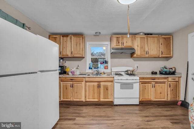 kitchen with dark hardwood / wood-style flooring, white appliances, light brown cabinets, and sink