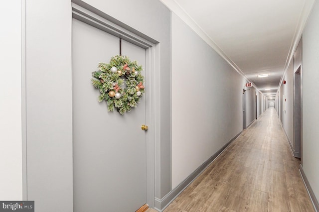 hallway featuring light hardwood / wood-style flooring and ornamental molding