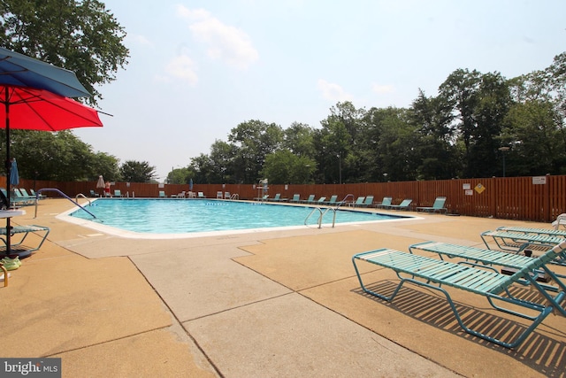 view of pool featuring a patio