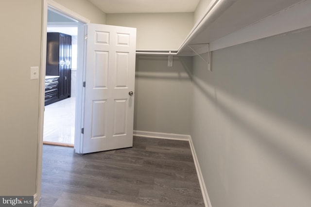 spacious closet with dark hardwood / wood-style floors