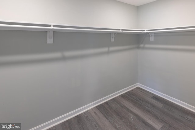 spacious closet featuring dark hardwood / wood-style flooring