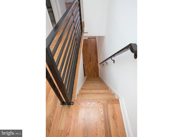 stairway with hardwood / wood-style flooring