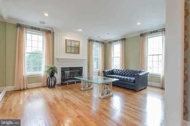 living room featuring ornamental molding and light hardwood / wood-style flooring