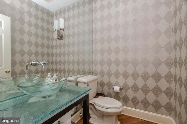 bathroom with wood-type flooring, toilet, and sink