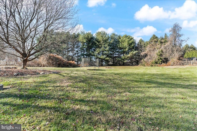 view of yard with a trampoline